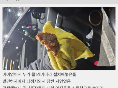 세차하다가 엔진룸에서 치킨 나옴