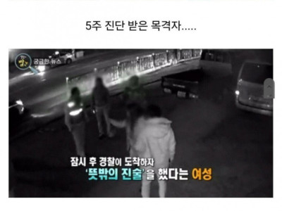 폭행 당하는 여성 도우려다 검찰에 송치된 남자.jpg