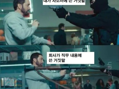 자소서에 거짓말 좀 보태서 써도 되는 이유.Jpg