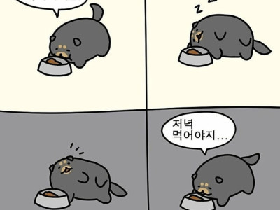 뽐뻐의 주말.jpg