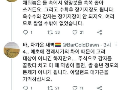 한국인들은 왜 옥수수나 감자 안심어서 굶어 죽음?