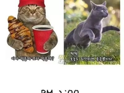 서울시민 vs 경기도민 jpg