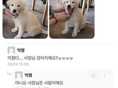 미쳤다... 사장님 강아지예요?.jpg