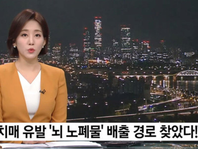 국내에서 세계최초로 치매 유발 뇌 노폐물 배출 경로 찾았다