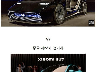 일본 전기차 vs 중국 전기차