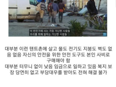 유럽의 과일 채소 물가가 싼 이유 .jpg