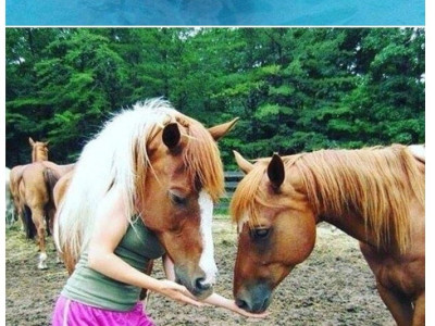뇌 정지 오는 짤