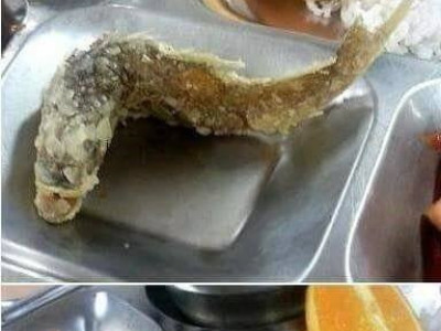 군인들이 꼽은 최악의 식사메뉴 양대산맥