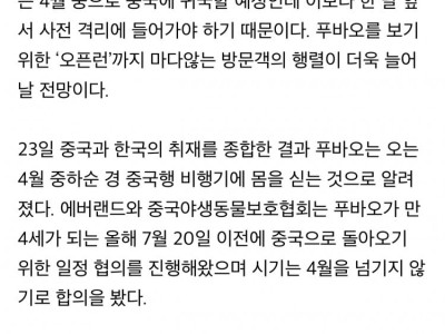 푸바오 4월에 떠난다…한 달 전 격리, 직관 두 달 남아