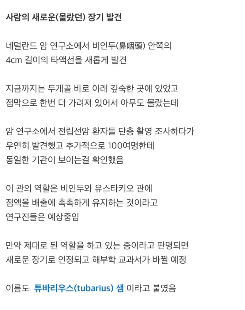 17060742655448.webp