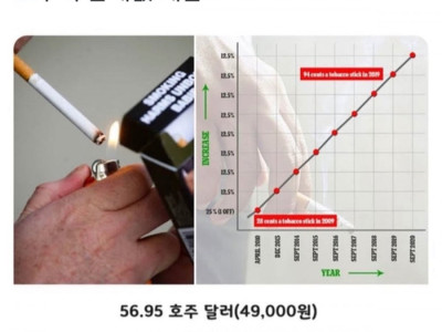 담배값 인상에 대한 체감