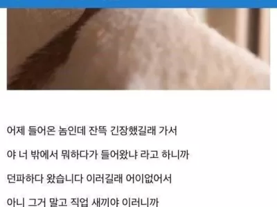 야 너 사회에서 뭐 하다 왔냐?
