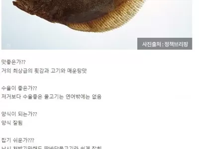 인류 역사상 최고의 생선