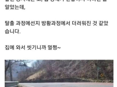 유기된 줄 알았던 리트리버 줍줍 후기.jpg