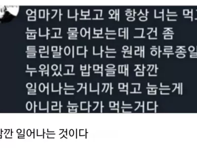 먹고 바로 눕는 것이 아니다.jpg