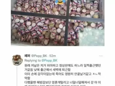 탈주각 날카롭게 잡혔던 베라 알바.jpg