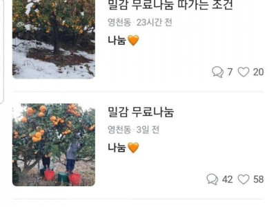 정이 넘처나는 당근