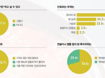 한국인 치킨부위 선호도