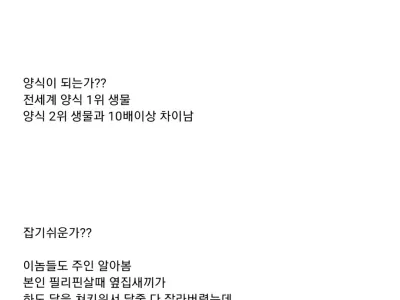 인류 역사상 최고의 동물