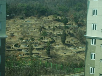 논란의 무덤 뷰, 조상복합아파트