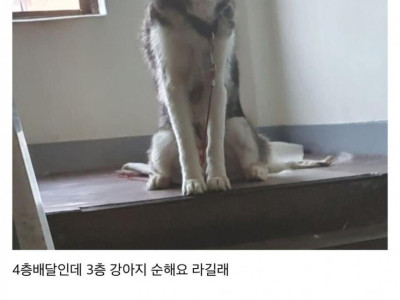 <img src=/images/menu/pop_icon2.jpg> 딸배 배달하다 오줌 지릴뻔 ㄷ..JPG