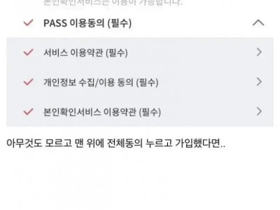 웃대+  고전] 사람들이 PASS앱을 ㅈ나 부담스러워하는 이유.jpg
