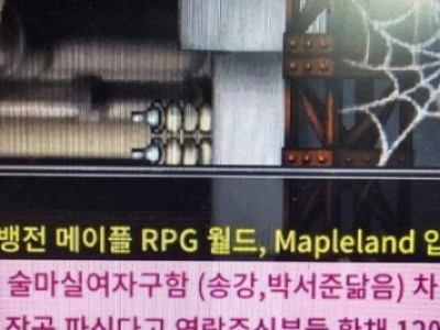 메이플랜드..근황..jpg