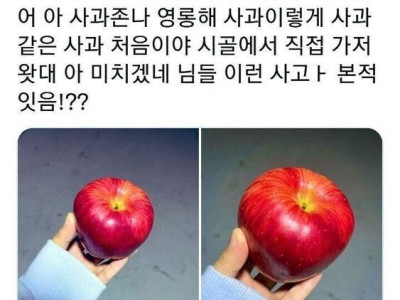 당근마켓에서 진짜 예쁜 사과 받은 사람