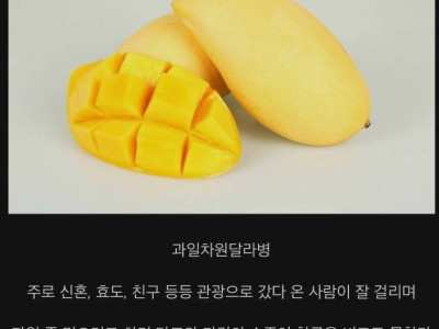 동남아갈때 걸리지 않게 조심해야 되는 병