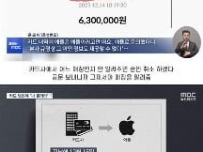 도난 카드로 1250만원 결제됐는데 수사 협조 못 한다는 애플