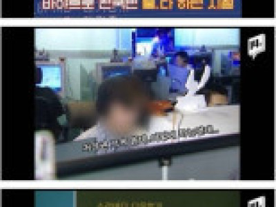 불법 다운로드의 전성기.jpg