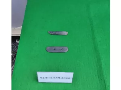 공사 관계자가 고고학 교수를 묻어버리고 싶었던 이유