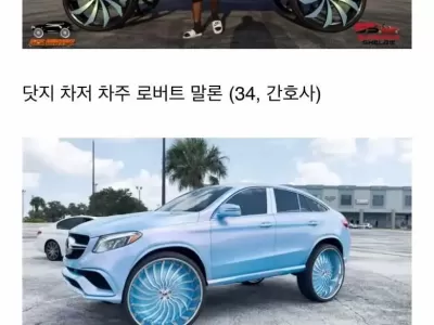 양키들의 자동차