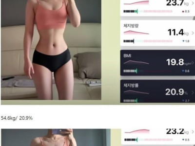 체지방별 몸매