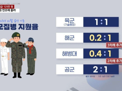 망해버린 해군 지원율.jpg