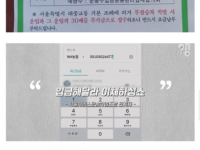 현금 안받는 요즘 시내버스 근황.jpg