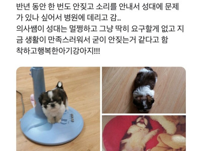 강아지가 반년간 절대 짖지 않은 이유.jpg
