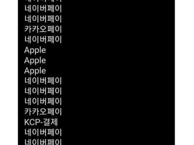 카드명세서보다보면 멘붕오는순간