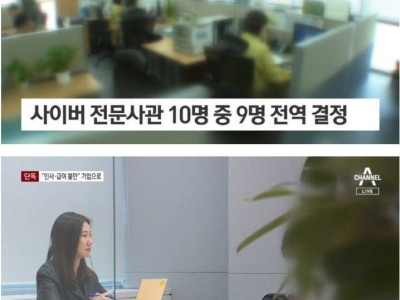 애써 키운 사이버전 장교