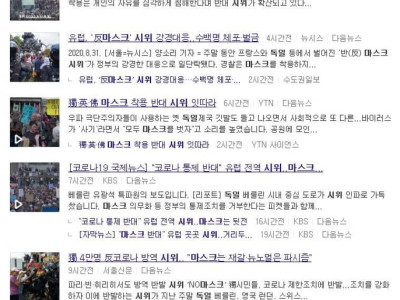 독일의 마스크 반대 시위, 한 장 요약 짤
