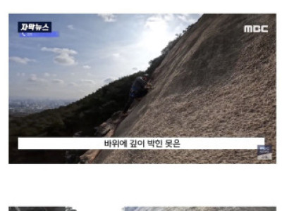 뉴스] 인왕산 기차바위 근황.jpg