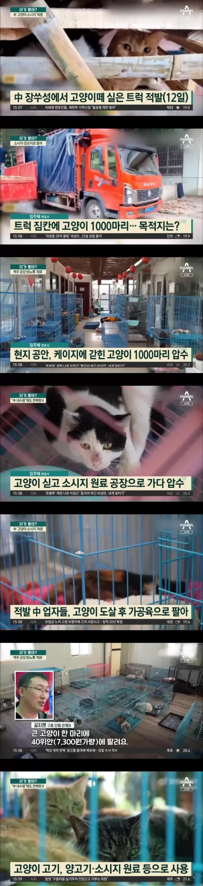17081451018262.webp