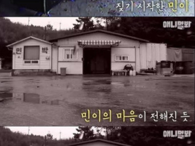 주인님이 갇혔어요 도와주세요.jpg