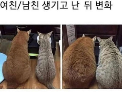 여친 or 남친 생기고 난후 몸변화