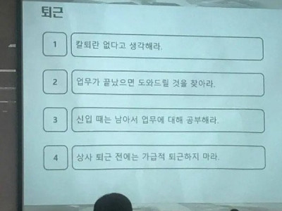 입사하자마자 퇴사 마려운 짤