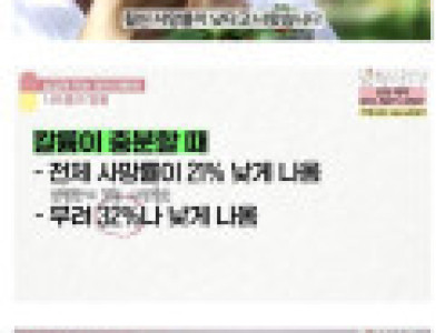 짜게 먹는게 괜찮은 이유