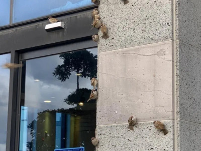 참새들에게 맛집으로 소문난 곳.jpg