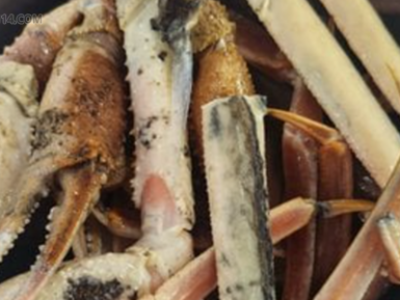 인티 - 약스] 썩은 대게 논란 노량진 수산시장 상인 마지막 소식.jpg