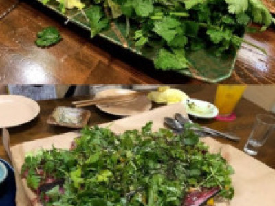 일본의 고수 전문 식당.jpg