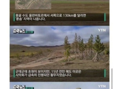 16년 전 무한도전이 몽골에 심은 나무 근황